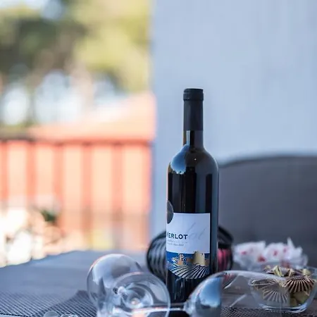 Janet Lejlighed Ugljan