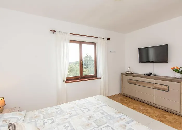 Apartman Janet Ugljan