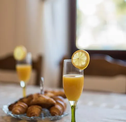 Apartman Janet Ugljan